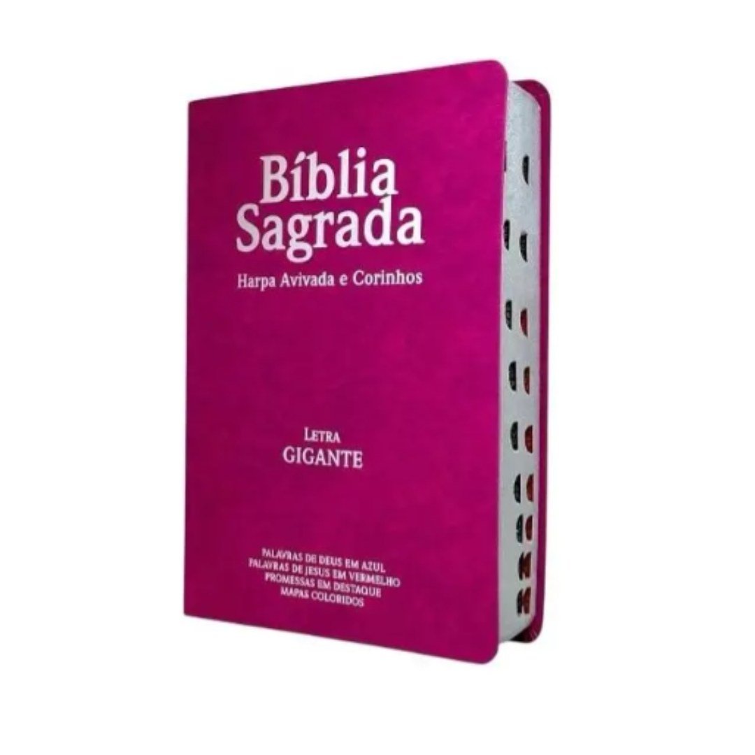 Biblias Letra Gigante Luxo Popular Rosa