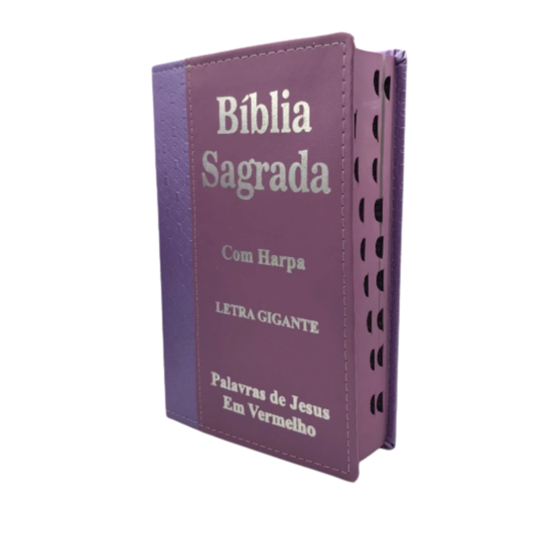 Bíblias Sagrada Letra Gigante Rosa Escuro Com Harpa Palavras de Jesus em vermelho
