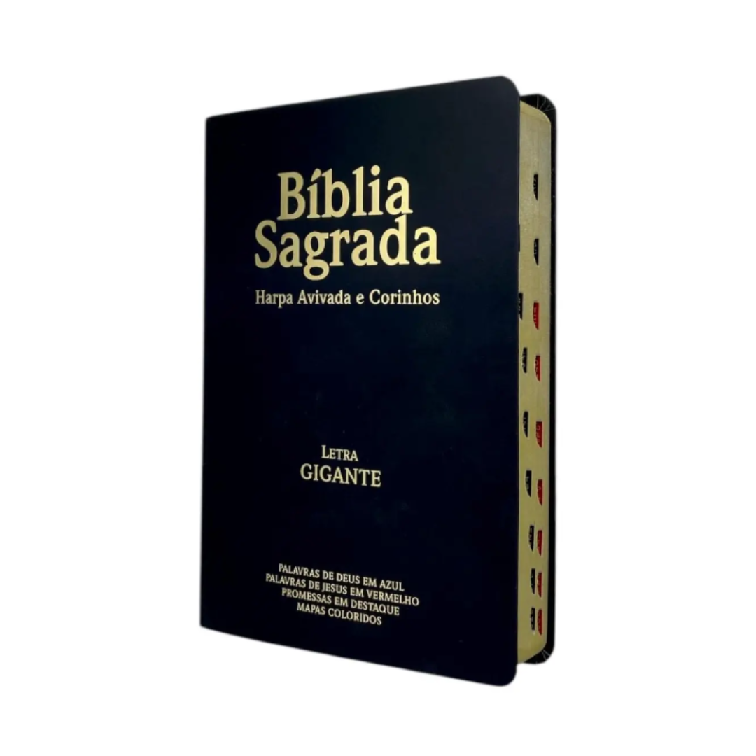 Biblias Letra Gigante Luxo Popular Preto