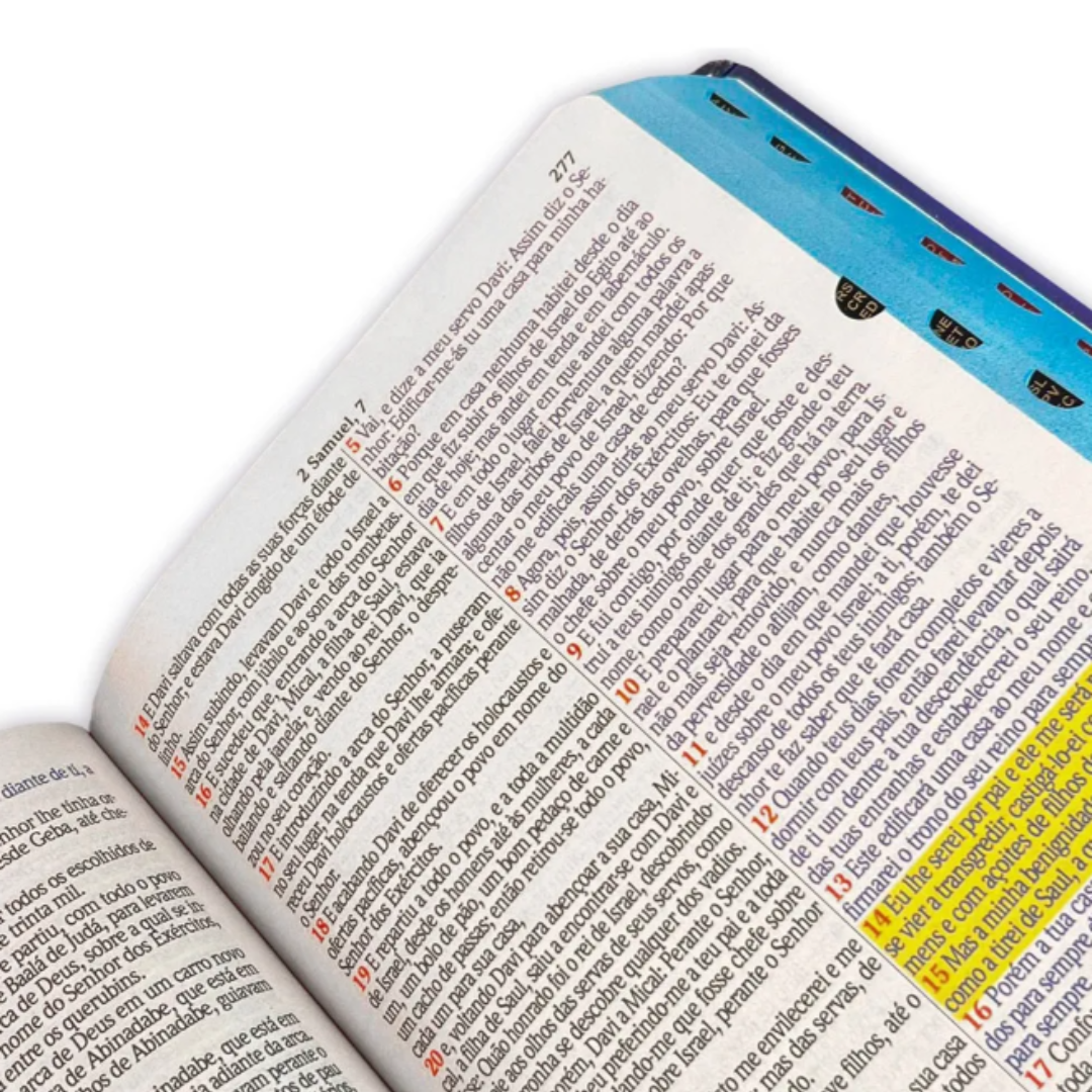 Bíblia Sagrada Letra Jumbo Com Harpa E Índice - Capa Dura - Leão Azul Real