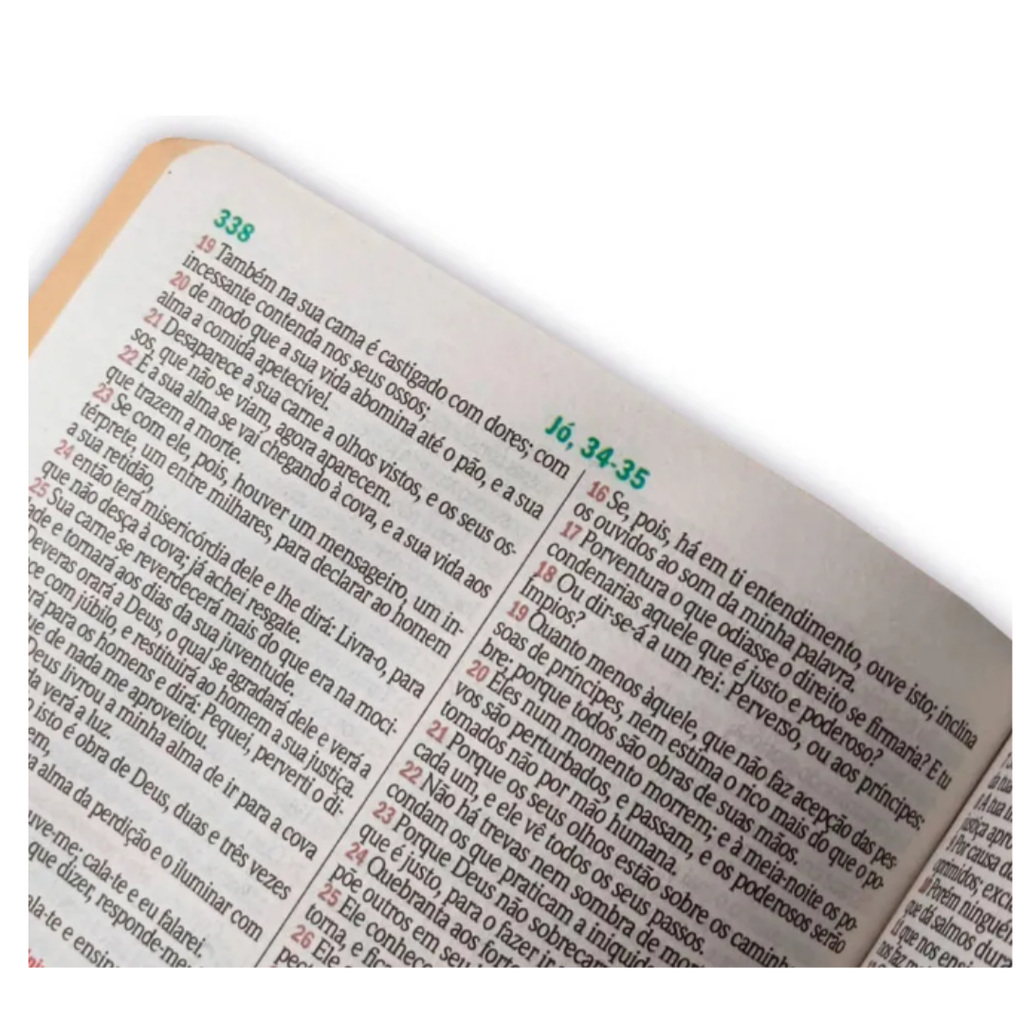 BIBLIA SAGRADA GIGANTE LUXO PRETA - C/ HARPA RC