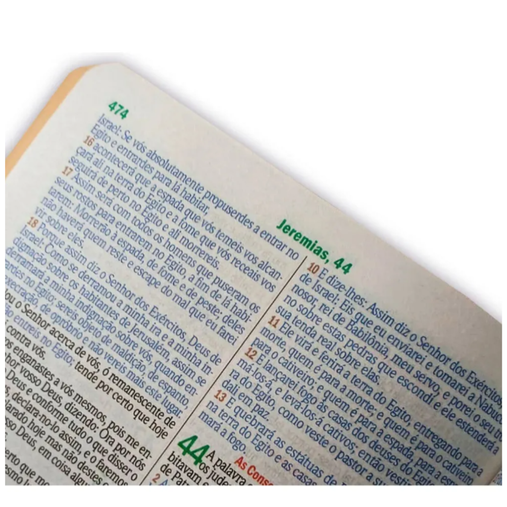 BIBLIA SAGRADA GIGANTE LUXO PRETA - C/ HARPA RC