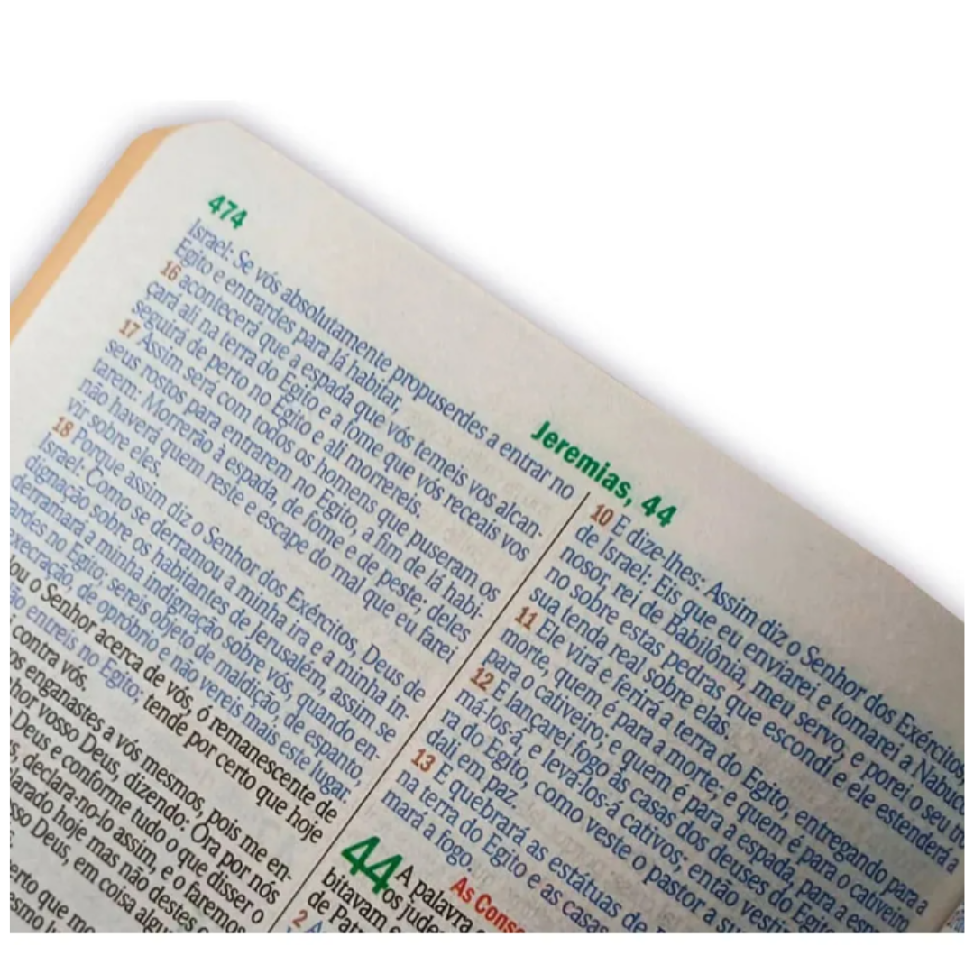 BIBLIA SAGRADA GIGANTE LUXO PRETA - C/ HARPA RC