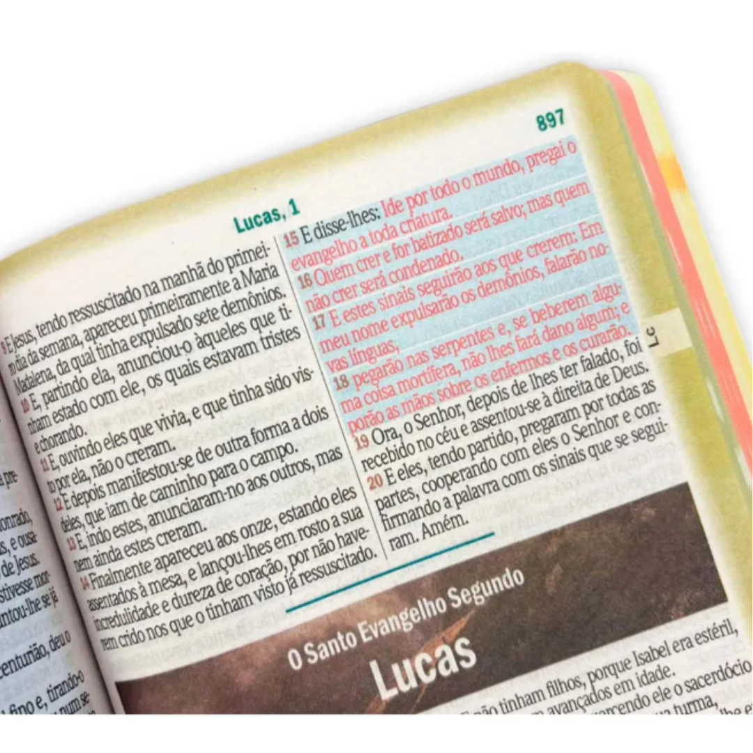 Biblia Sagrada Hipergigante Bicolor Caramelo e Preto C/ Harpa RC