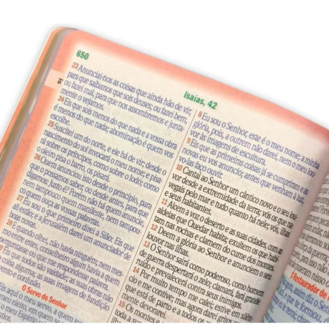 Biblia Sagrada Hipergigante Bicolor Caramelo e Preto C/ Harpa RC